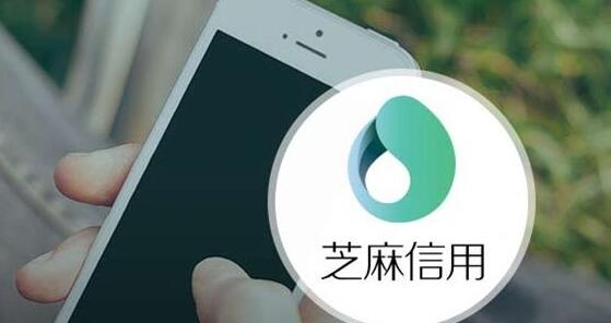 手把手教你如何提高芝麻分! 手把手教你如何提高芝麻分!
